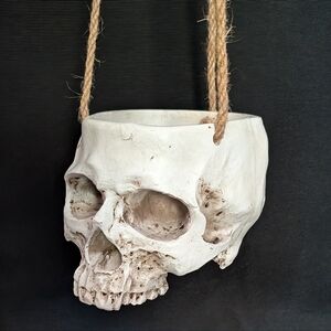 Skull Hanging Planter - Small (1)